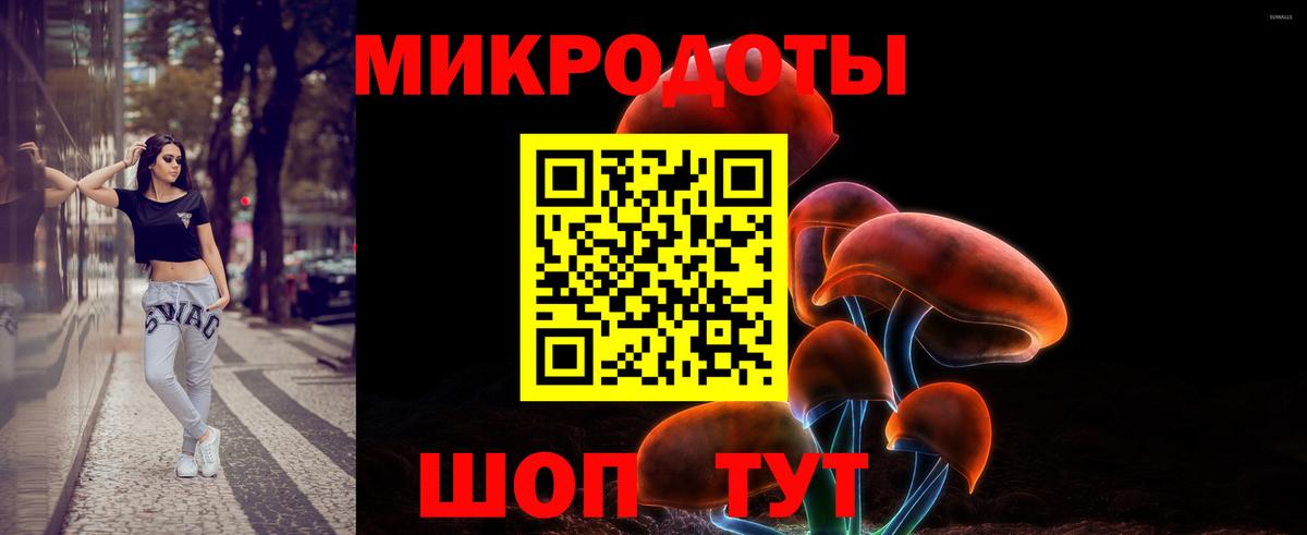 Галлюциногенные грибы прущие грибы Ленинск-Кузнецкий